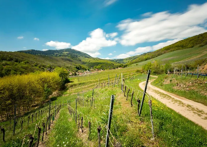 Domaine Bleesz