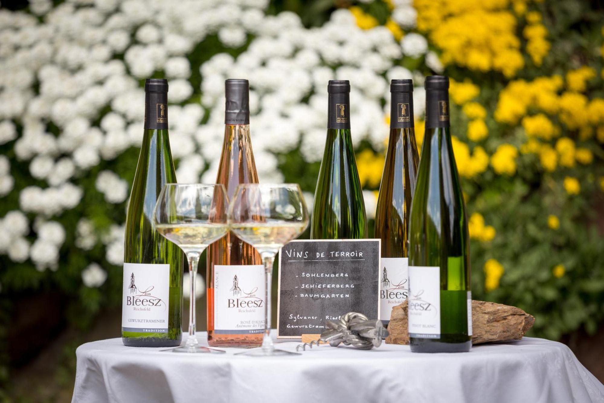Domaine Bleesz Bed & Breakfast Reichsfeld